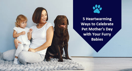 5 Heartfelt Ways to Celebrate Pet Mother's Day with Your Furry Friends