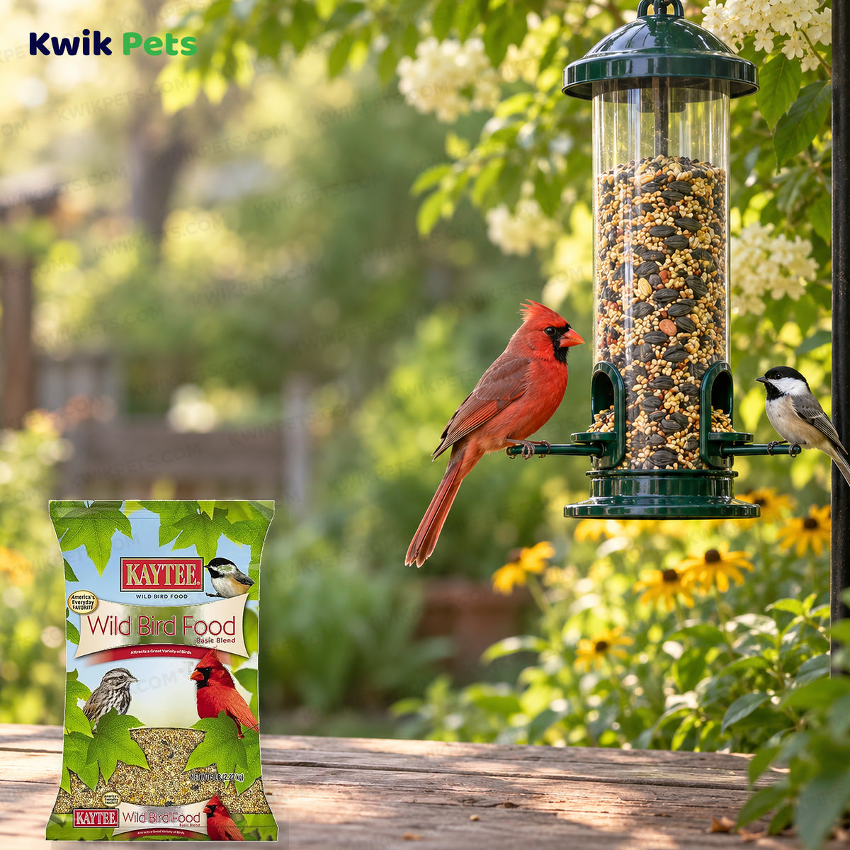 Lifestyle of Kaytee Basic Blend Wild Bird Food 5-lb