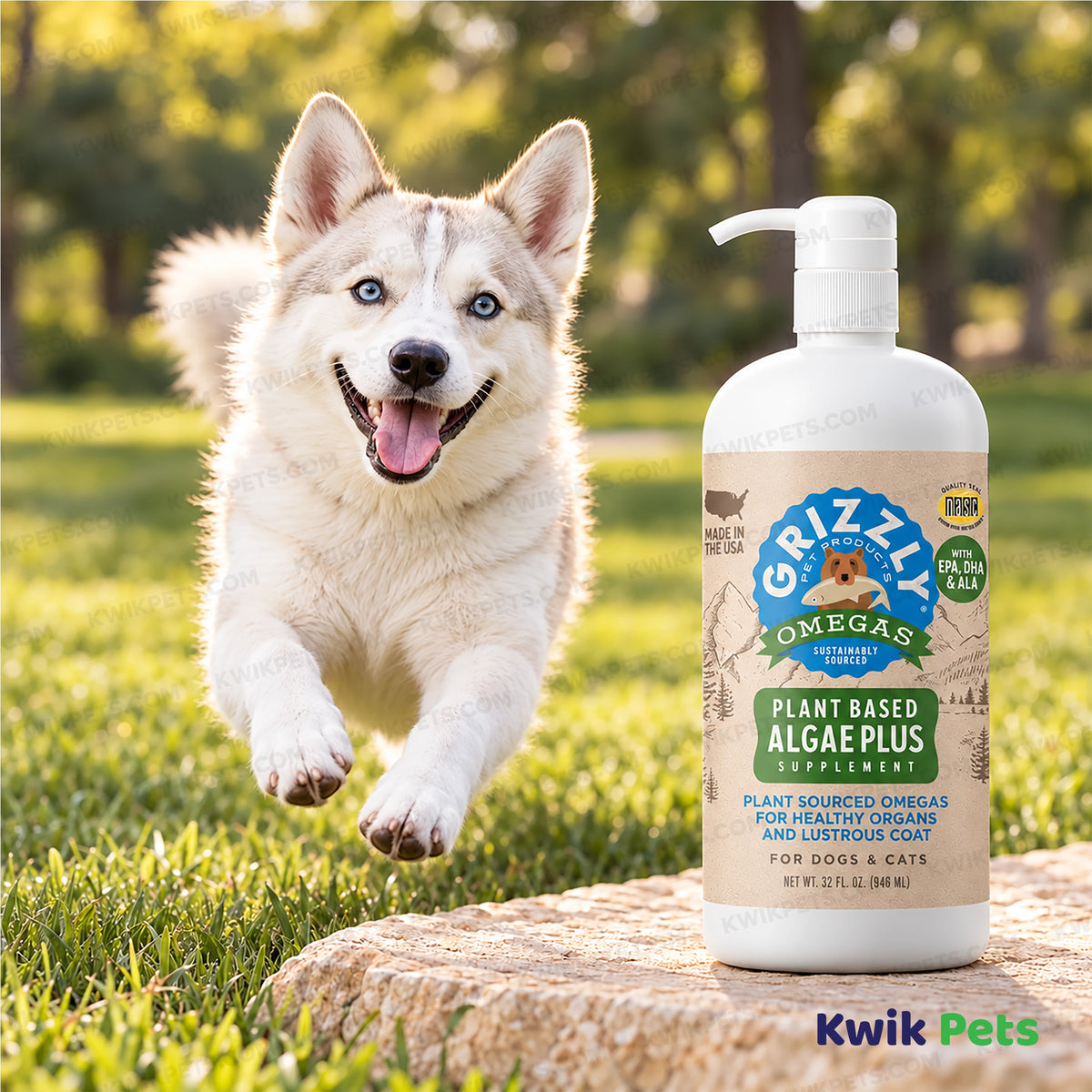 Lifestyle of Grizzly Omegas Plant Based Algae Plus Food Supplement for Dogs & Cats 32-oz