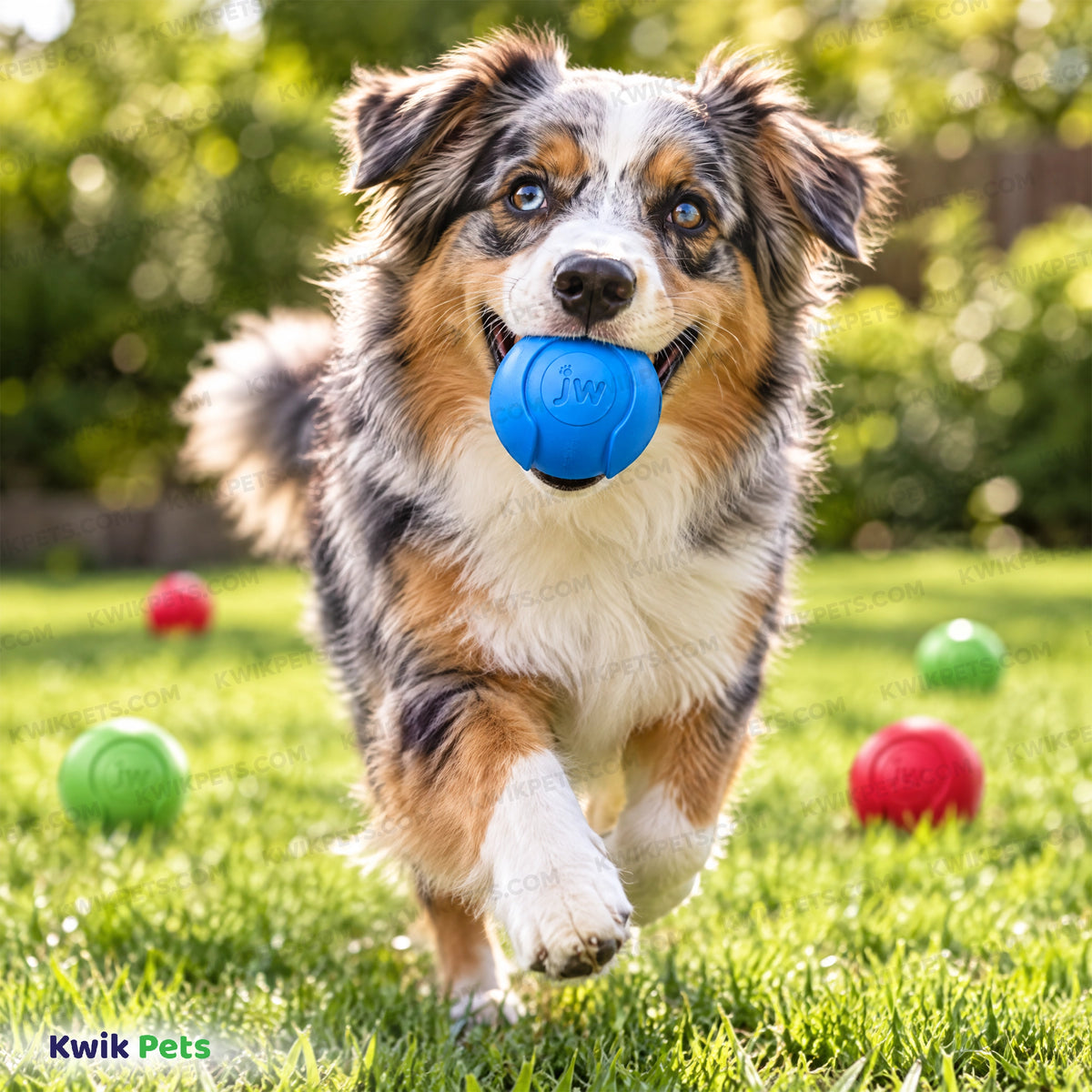 Lifestyle of JW Pet iSqueak Bouncin' Baseball Dog Toy Assorted Medium