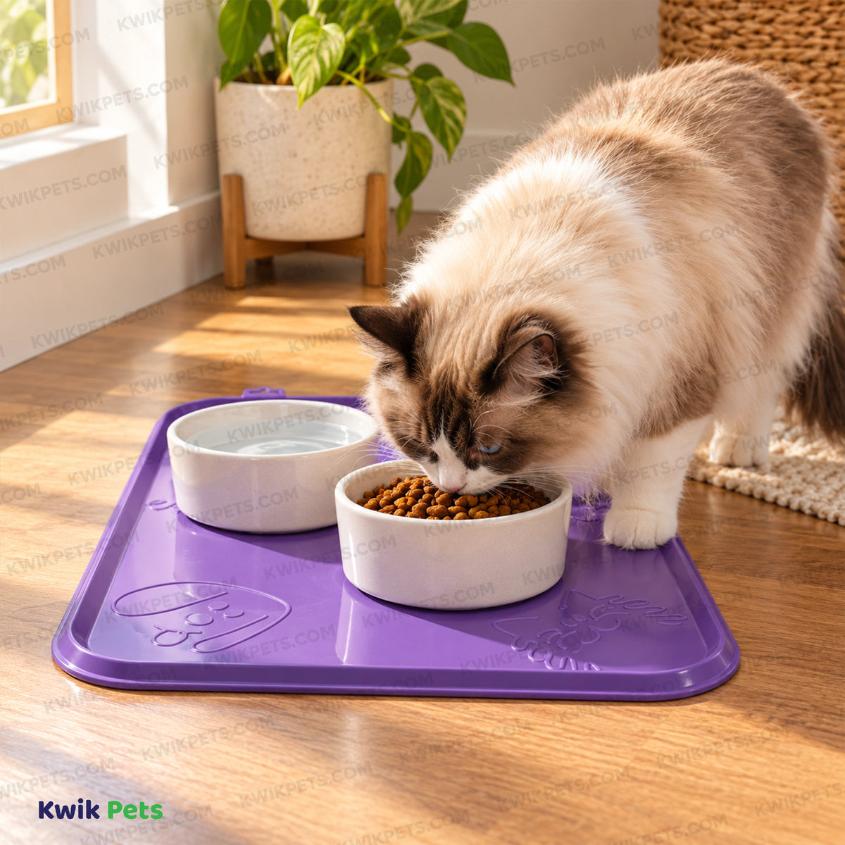 Lifestyle of Van Ness Plastics Pet Dinner Mat Assorted Large