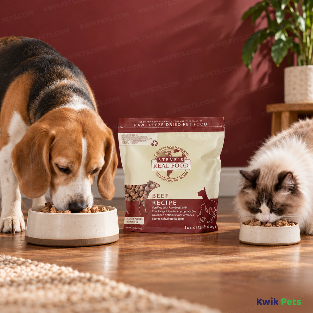Lifestyle of Steve's Real Food Freeze-Dried Nuggets Raw Dog & Cat Food Beef Recipe 1.25-lb
