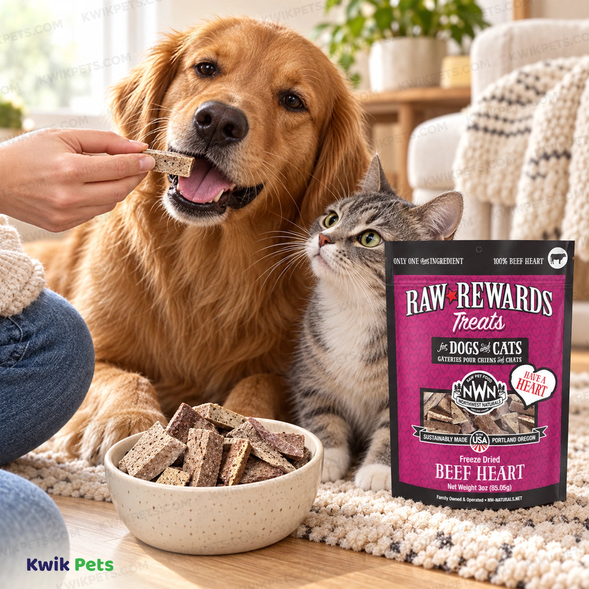 Lifestyle of Northwest Naturals Raw Rewards Freeze Dried Dog & Cat Treats Beef Heart 3-oz
