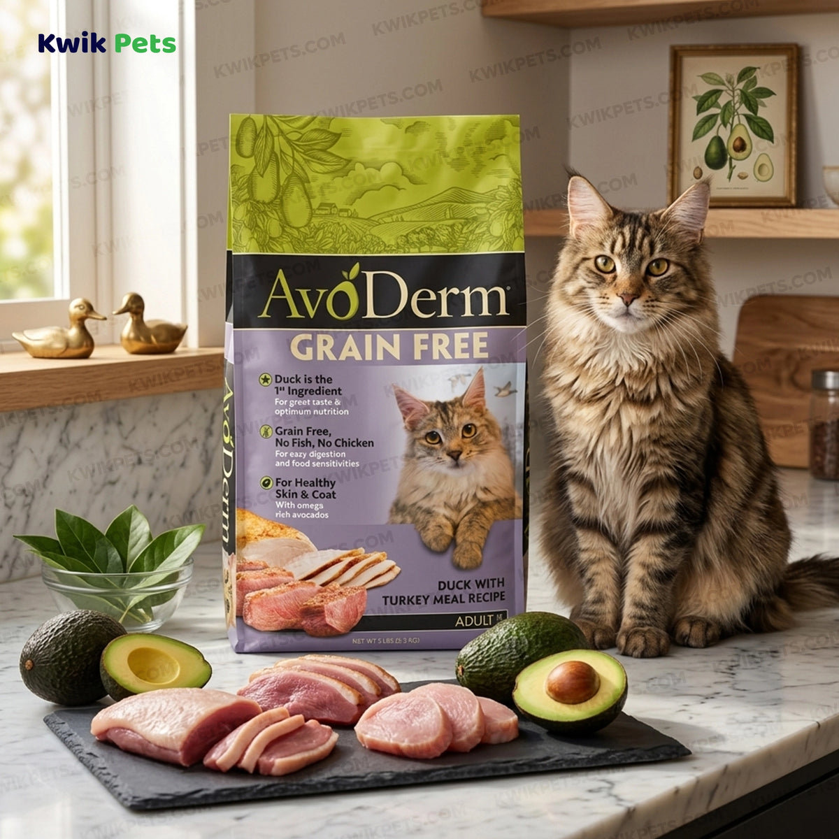 Lifestyle of AvoDerm Natural Grain-Free Duck with Turkey Meal Dry Cat Food 5-lb