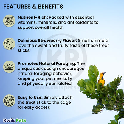 Features & Benefits of A & E Cages Vitapol Smakers Small Animal Treat Stick Strawberry, 2 ct