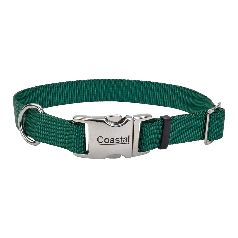 Front of Coastal Double-Ply Nylon Dog Collar Hunter 1 in X 20 in