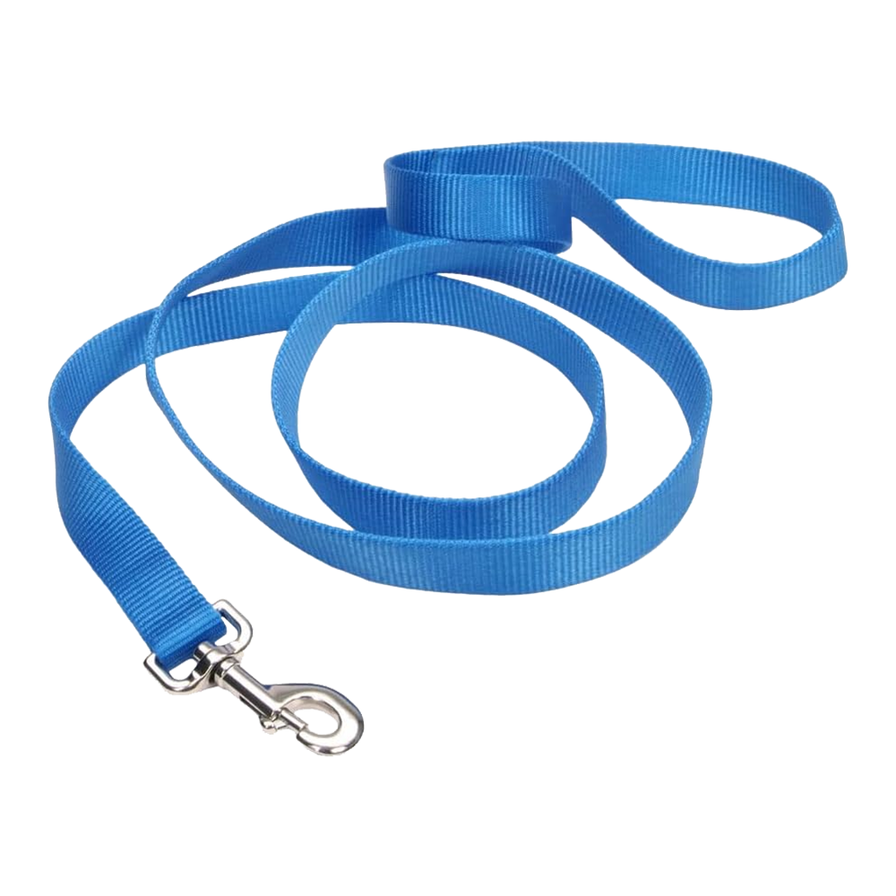 Front of Coastal Single-Ply Nylon Dog Leash Blue 3/8 in X 6 ft