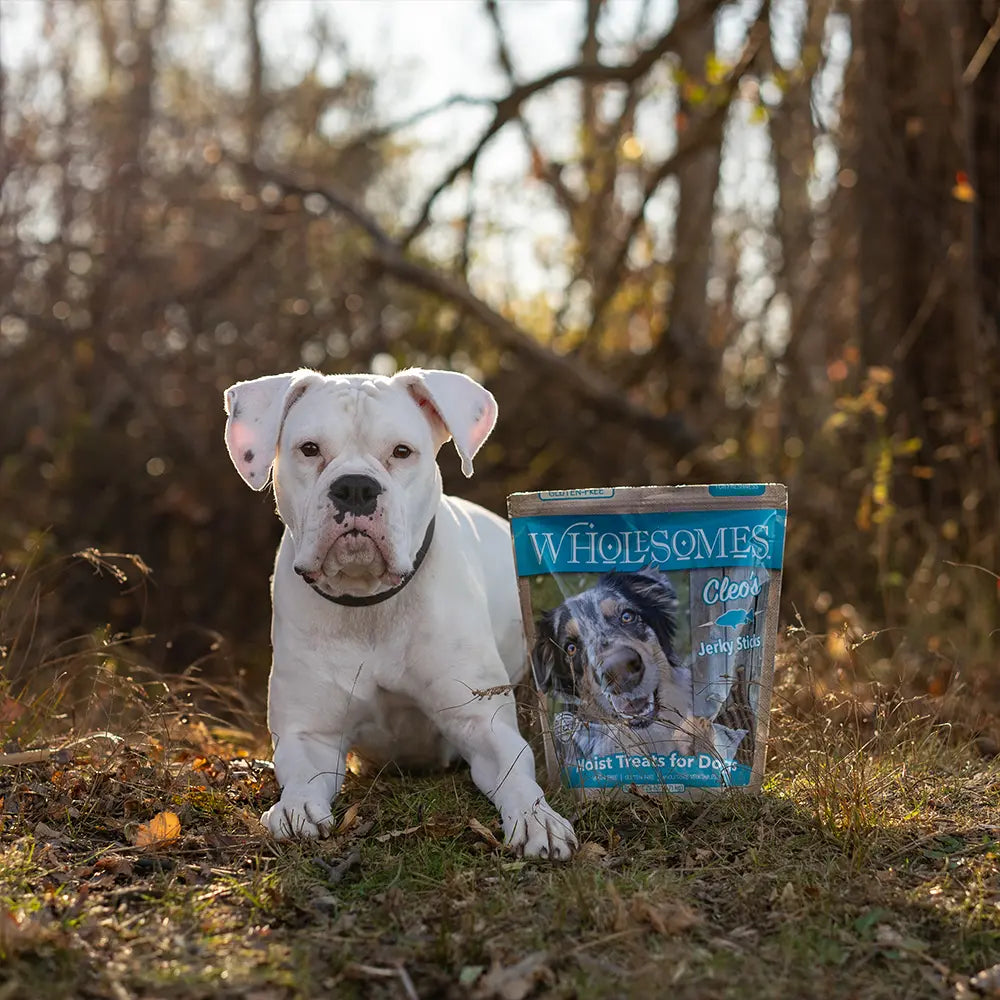 Lifestyle of Wholesomes Cleo's Jerky Sticks Grain-Free Dog Treats 25-oz