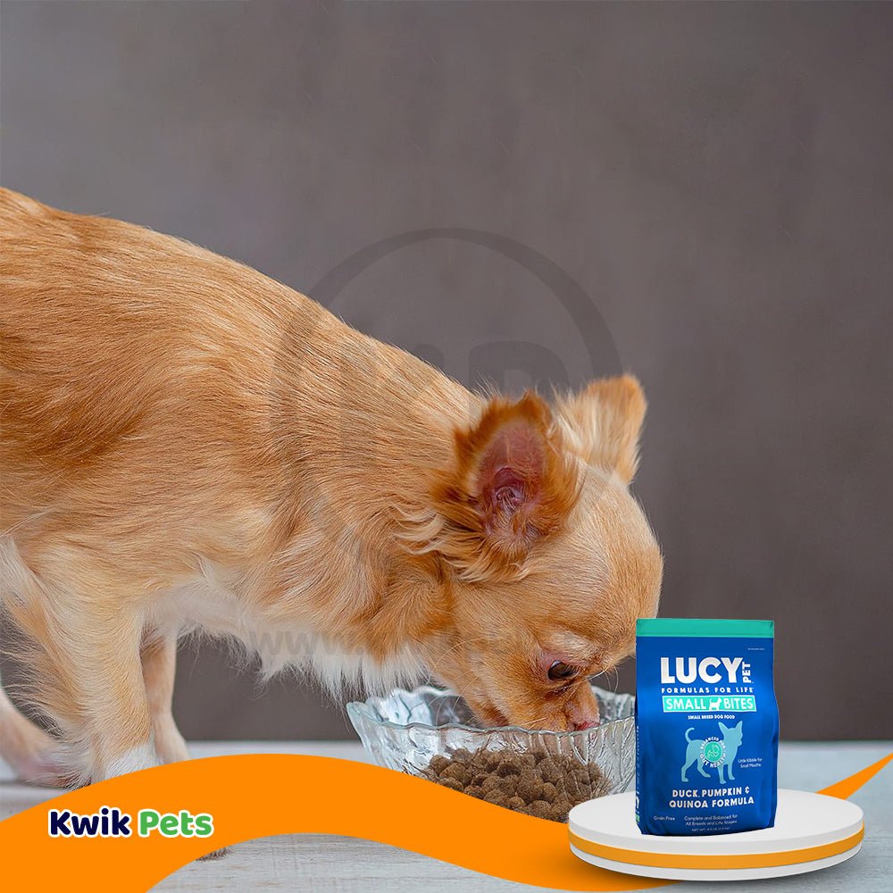 LifeStyle of Lucy Pet Products Grain-Free Small Bites Small Breed Dry Dog Food Duck, Pumpkin & Quinoa 4.5-lb