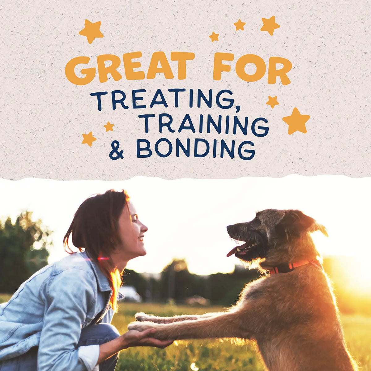 LifeStyle of Natural Balance Pet Foods Rewards Jumpin' Stix Soft & Meaty Dog Treats Duck 10-oz