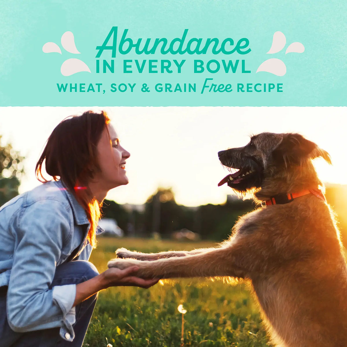 LifeStyle of Natural Balance Pet Foods Original Ultra Broth Coated Dry Dog Food Chicken & Sweet Potato 24-lb