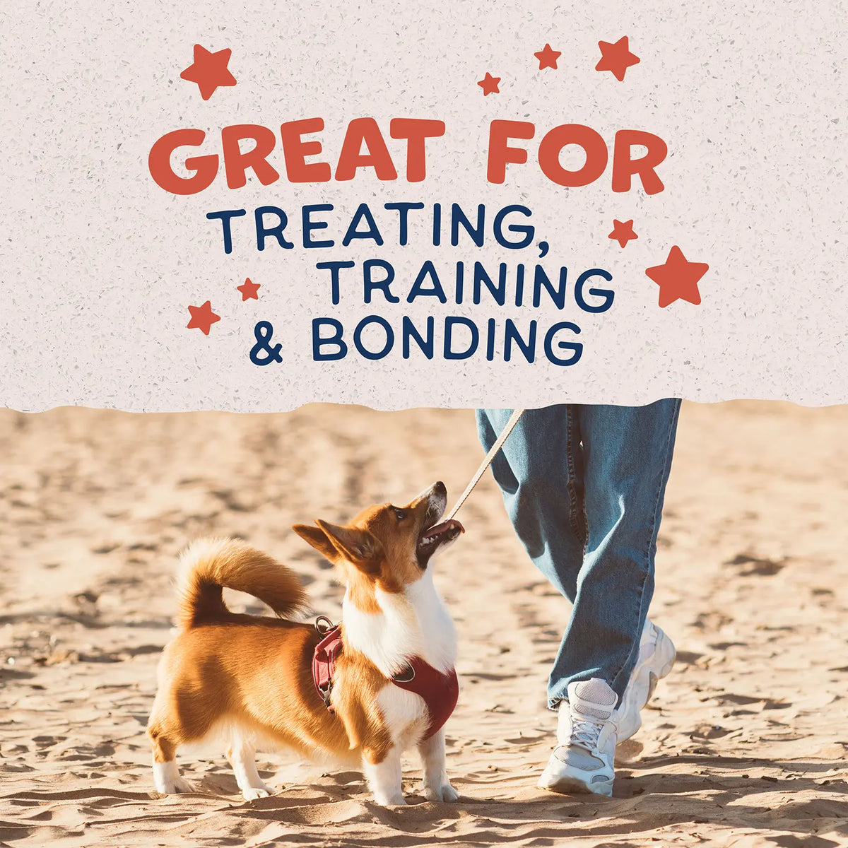 LifeStyle of Natural Balance Pet Foods Rewards Bite-Size Crunchy Biscuits Small Breed Dog Treats Salmon 8-oz