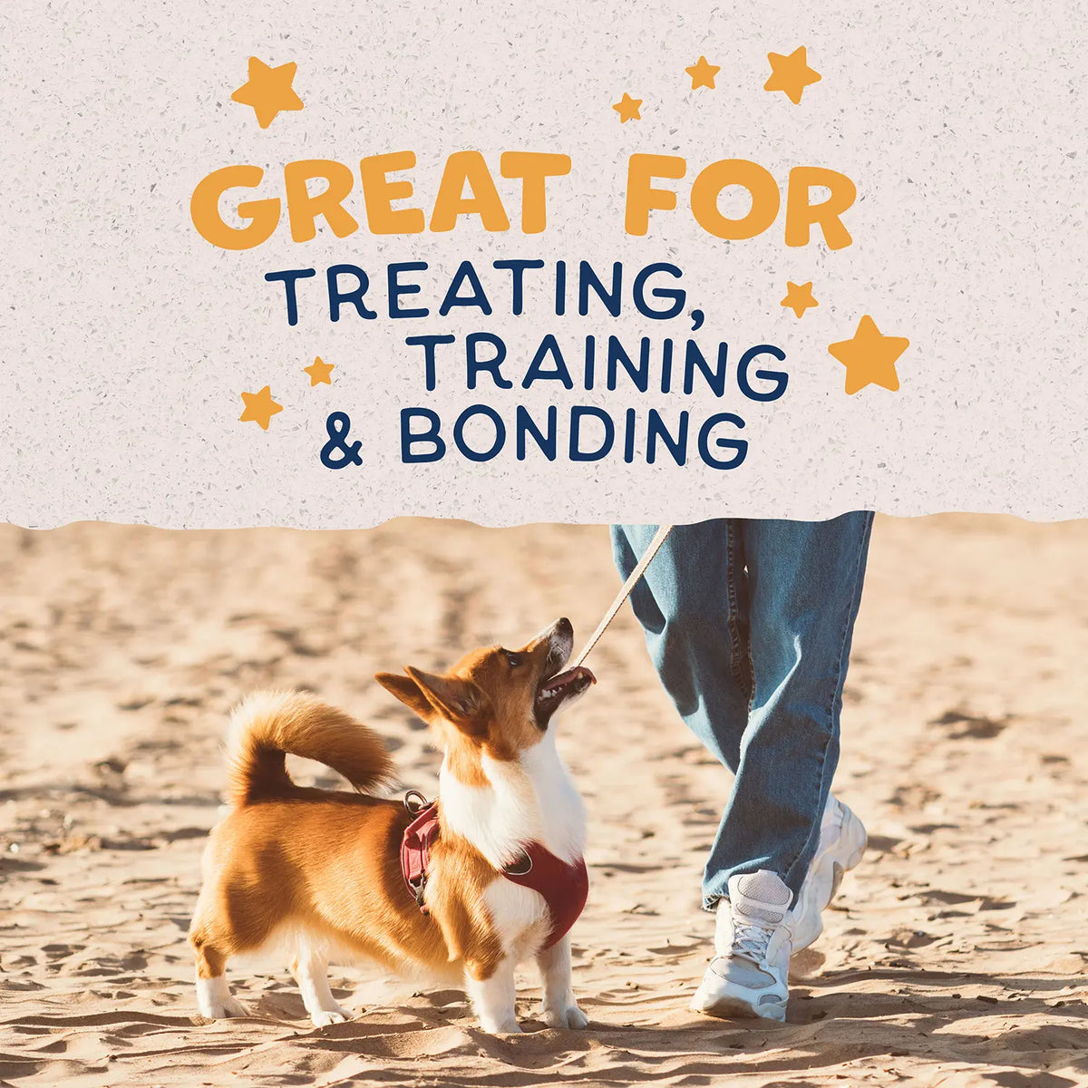 LifeStyle of Natural Balance Pet Foods Rewards Bite-Size Crunchy Biscuits Small Breed Dog Treats Duck 8-oz