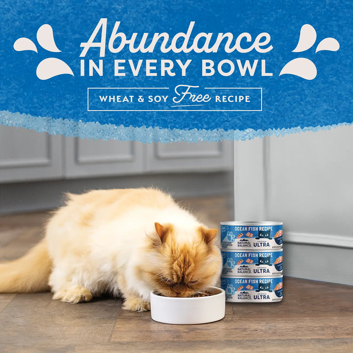 LifeStyle of Natural Balance Pet Foods Original Ultra Canned Cat Food Ocean Fish 5.5-oz