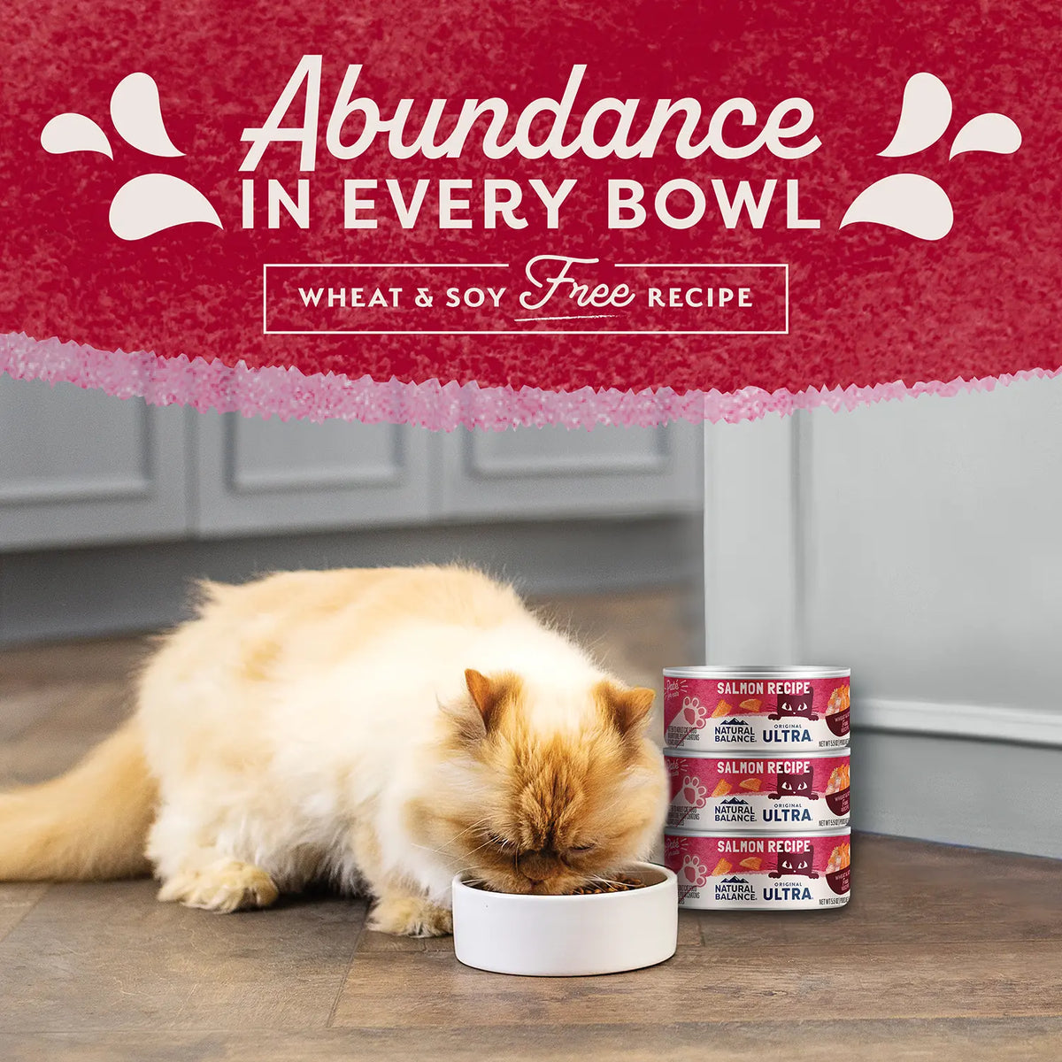 LifeStyle of Natural Balance Pet Foods Original Ultra Canned Cat Food Salmon 5.5-oz