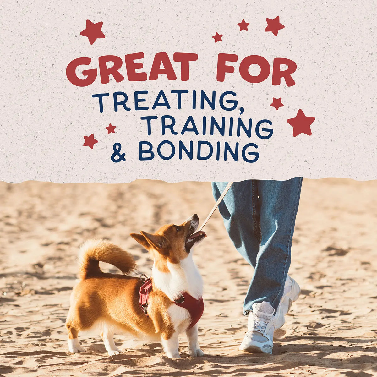 LifeStyle of Natural Balance Pet Foods Rewards Bite-Size Crunchy Biscuits Small Breed Dog Treats Bison 8-oz