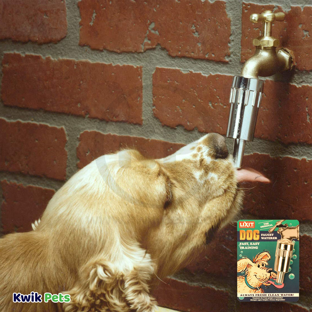 Lixit Dog Faucet Waterer Silver, Kwik Pets