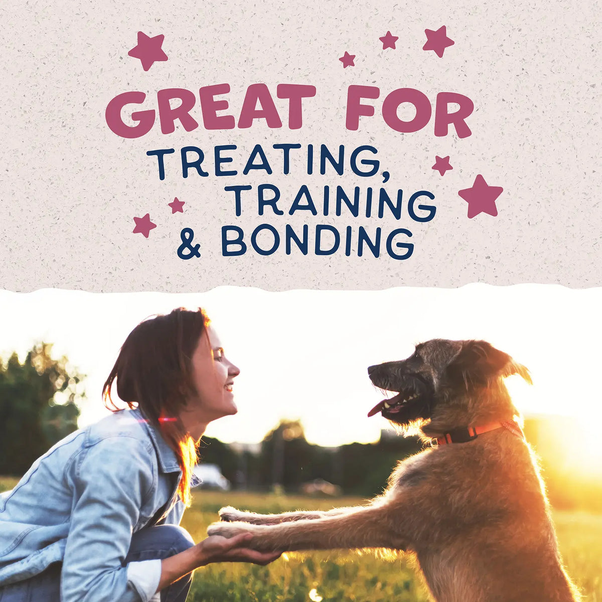 LifeStyle of Natural Balance Pet Foods Rewards Jumpin' Stix Soft & Meaty Dog Treats Venison 4-oz