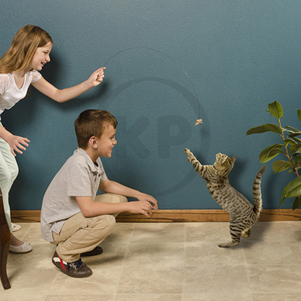 LifeStyle of Cat Dancer Products Interactive Cat Toy Brown One Size