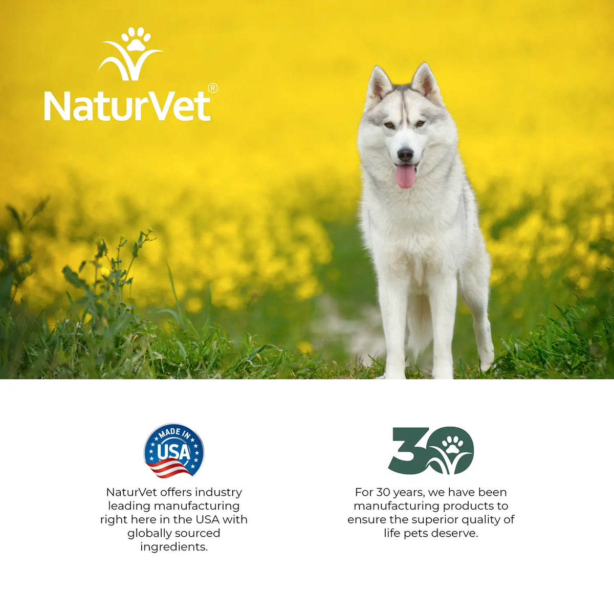 LifeStyle of NaturVet Hemp 2-in-1 Shampoo & Conditioner for Dogs 16-oz