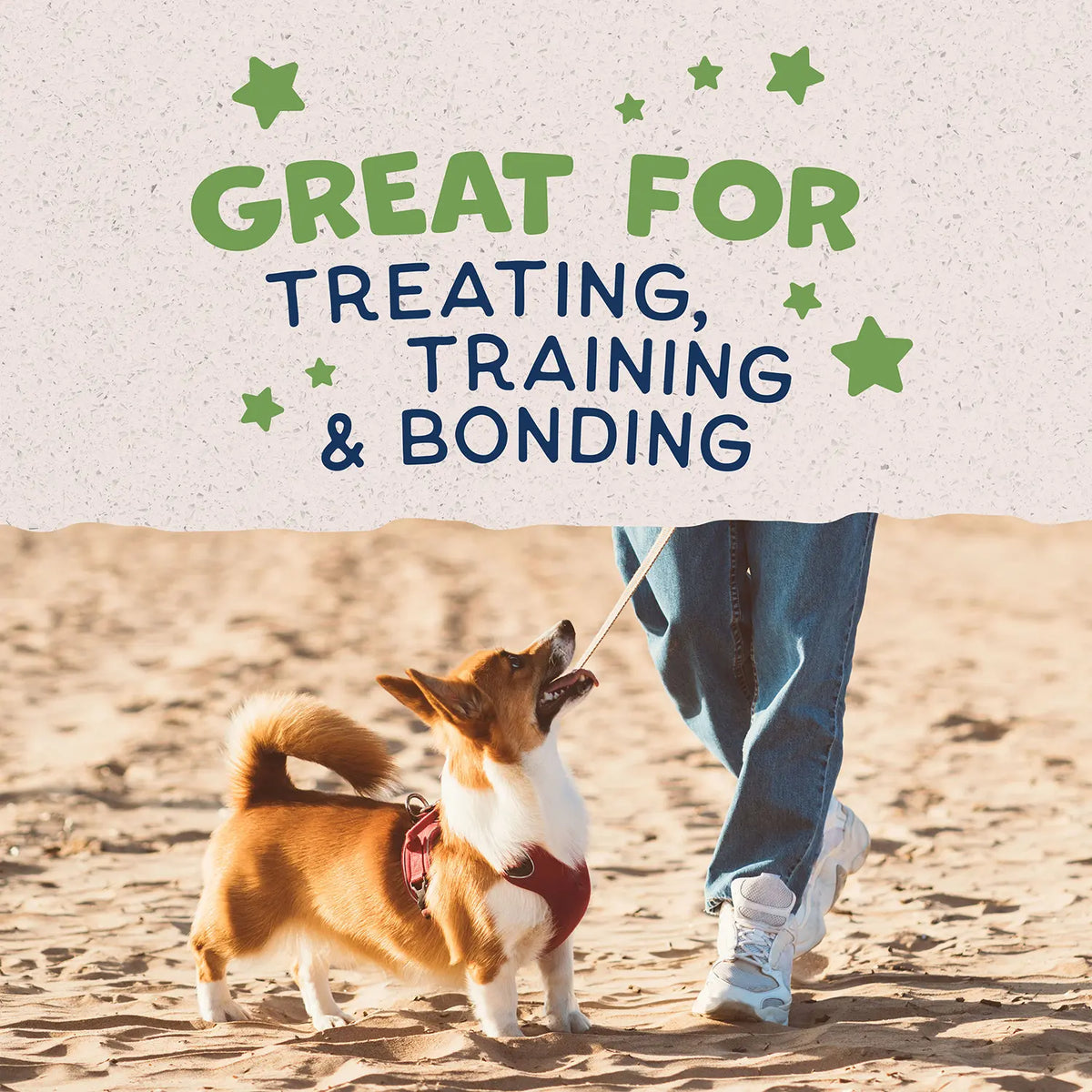 LifeStyle of Natural Balance Pet Foods Rewards Bite-Size Crunchy Biscuits Small Breed Dog Treats Peanut Butter 8-oz