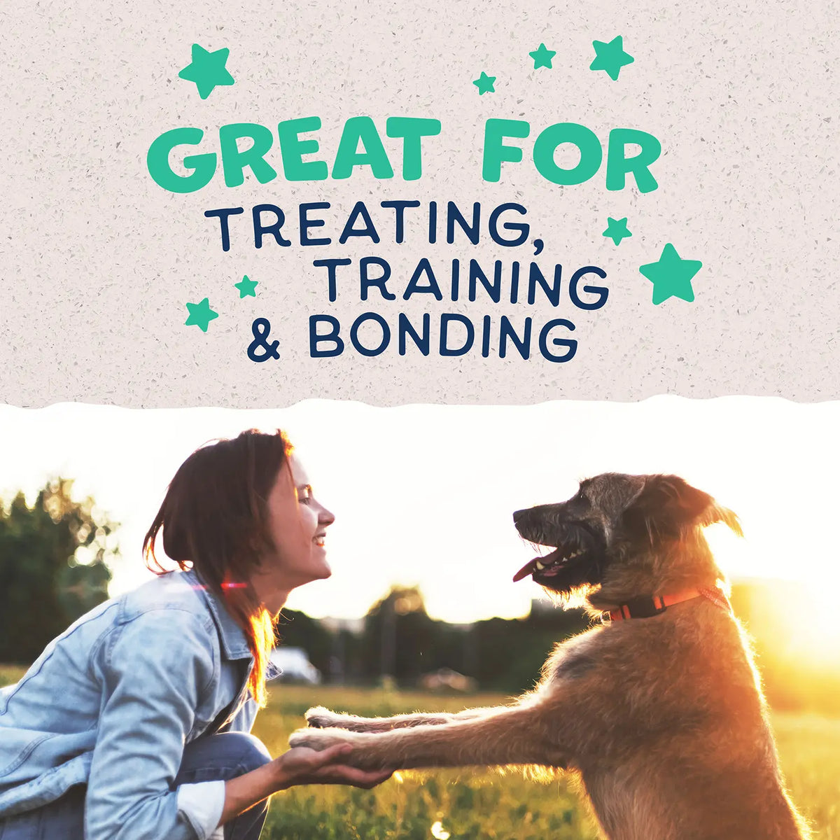 LifeStyle of Natural Balance Pet Foods Rewards Jumpin' Stix Soft & Meaty Dog Treats Chicken 10-oz