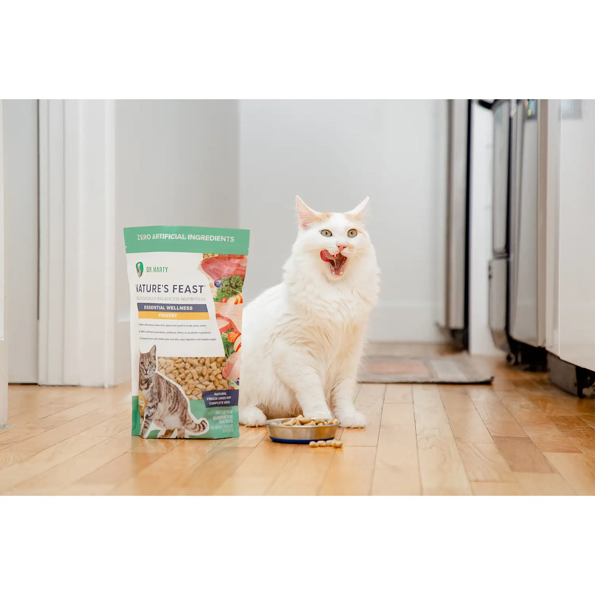 LifeStyle of Dr. Marty Nature's Feast Essential Wellness Premium Freeze-Dried Raw Adult Cat Food Poultry 12-oz