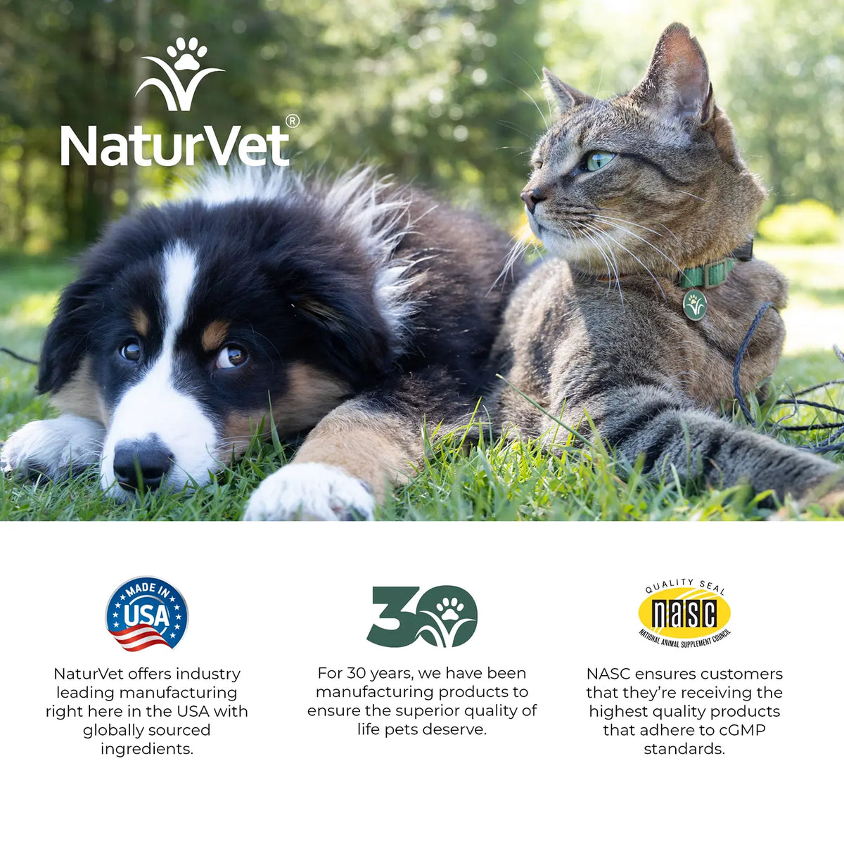 LifeStyle of NaturVet All-in-One Daily Essentials Powder for Dogs & Cats 13-oz