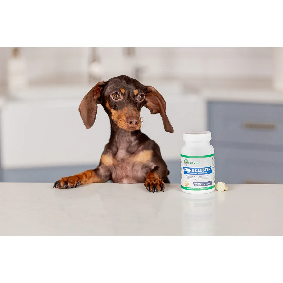 LifeStyle of Dr. Marty Shine & Luster Canine Seasonal Allergy Support Dog Chewable Tablet 60 Count