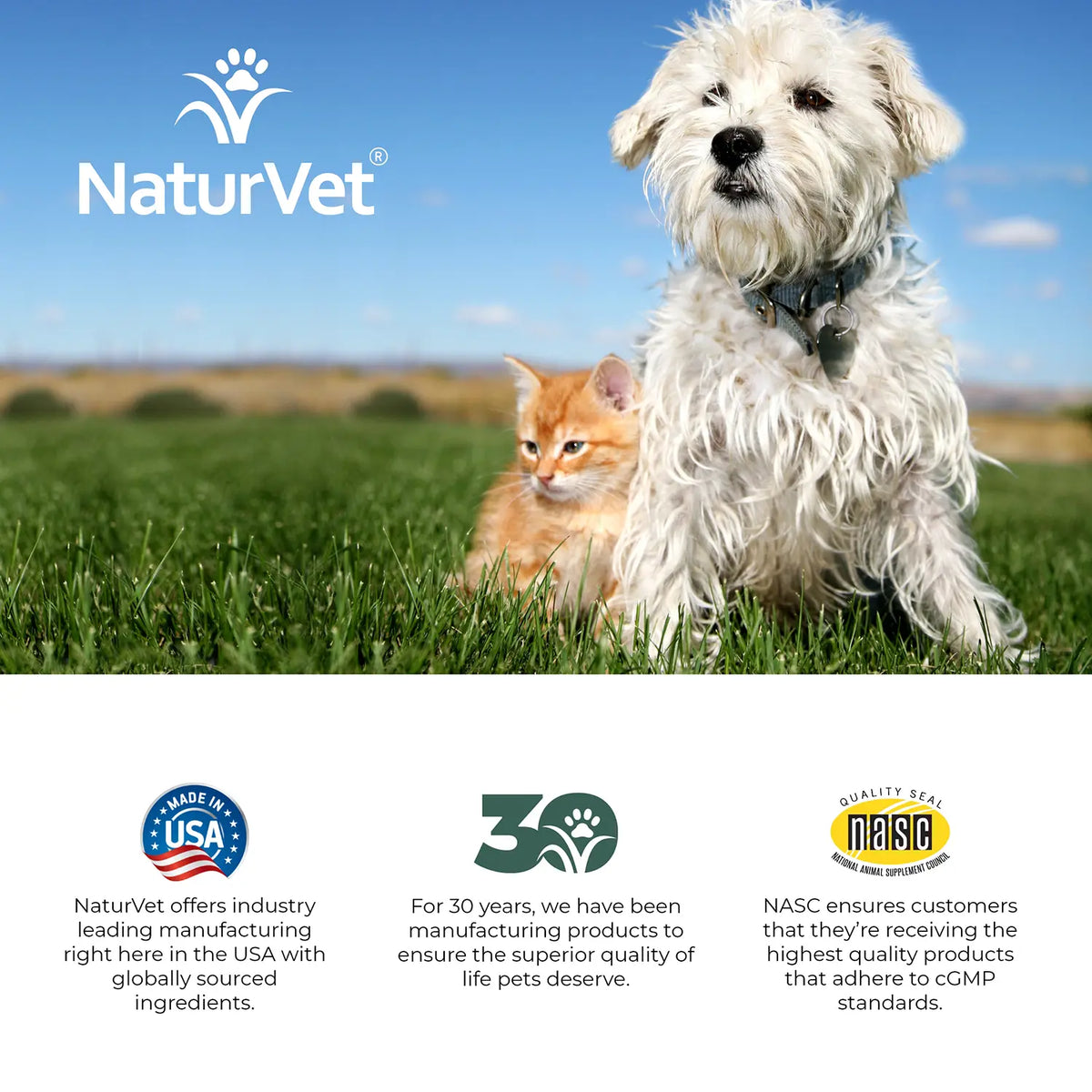 LifeStyle of NaturVet Mushroom Max Advanced Immune Support Soft Chews for Dogs & Cats 60 Count 8.4-oz