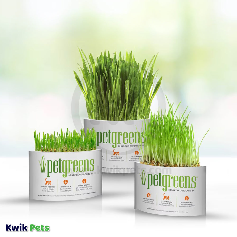 Product of Pet Greens Garden Pet Grass Self-Grow Kit Organic Wheatgrass 3-oz