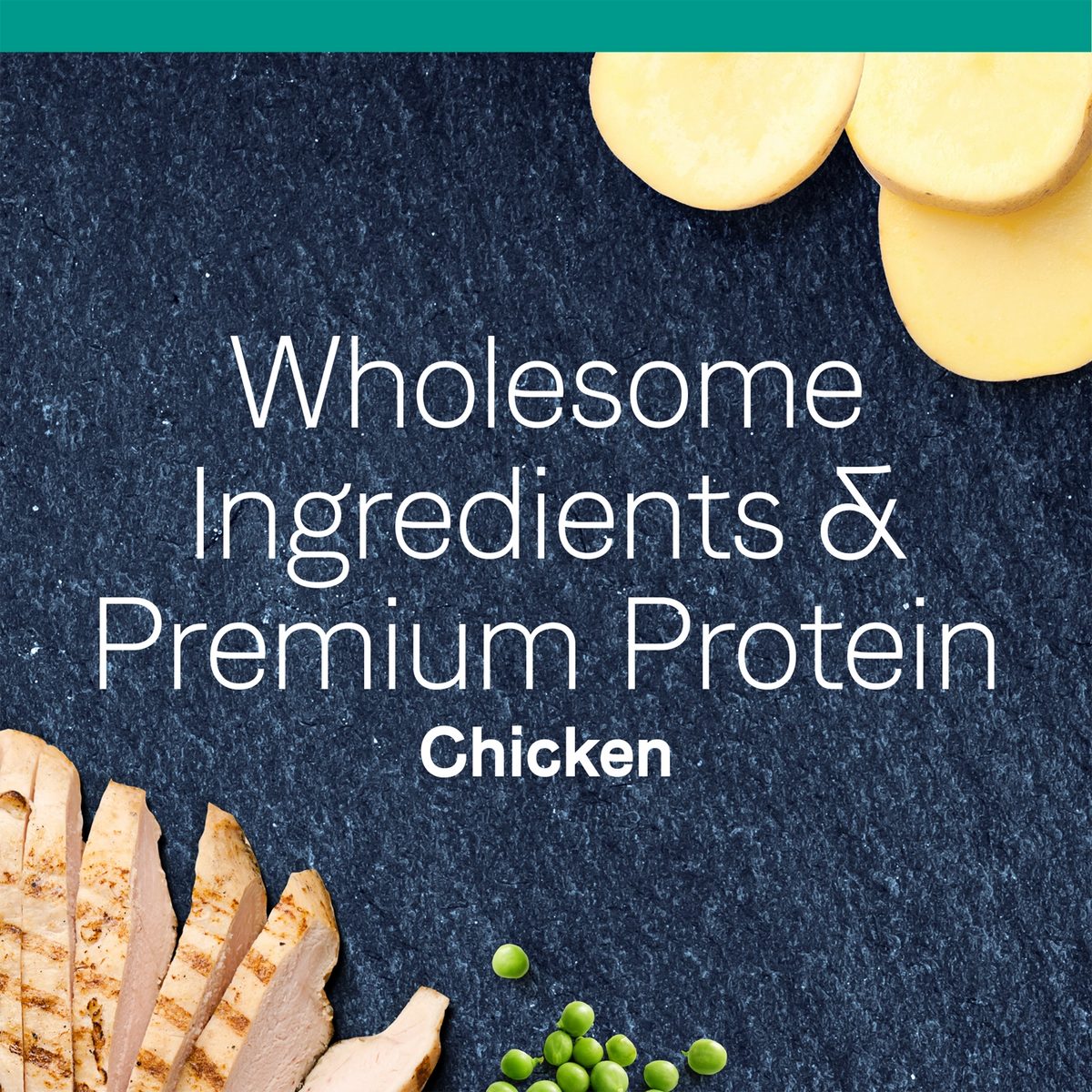 CANIDAE Pure Grain-Free Limited Ingredient Dry Cat Food Premium Recipe with Chicken 10-lb, Kwik Pets