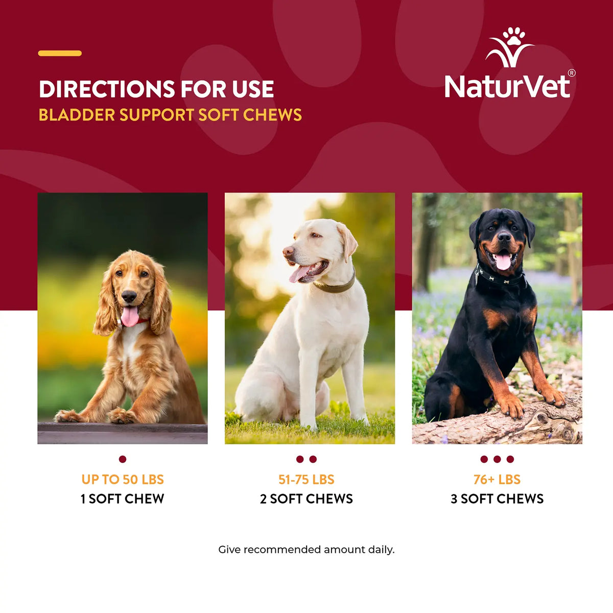 Usages Directions of NaturVet Cranberry Relief Plus Echinacea Soft Chews for Dogs 60 Count 6.3-oz