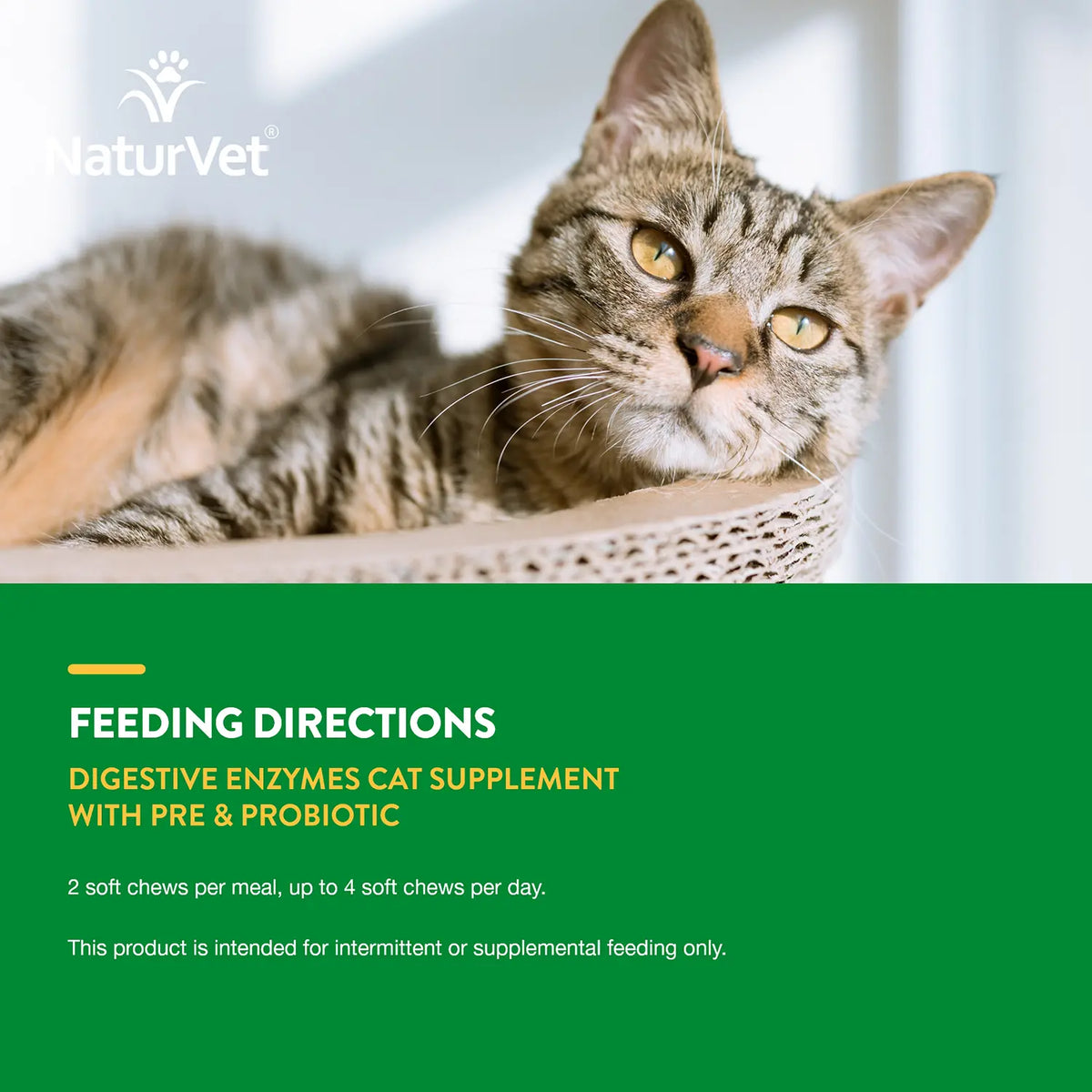 NaturVet Digestive Enzymes Plus Pre and Probiotic Soft Chews for Cats 60 Count 3.1-oz, Kwik Pets