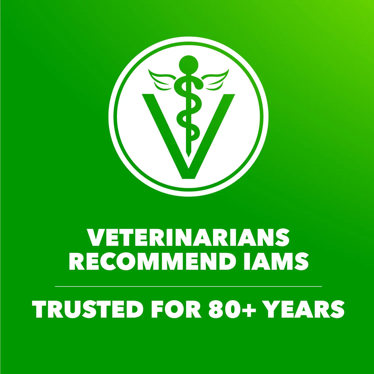 Vet of IAMS High Protein Large Breed Adult Dry Dog Food Real Chicken 30-lb