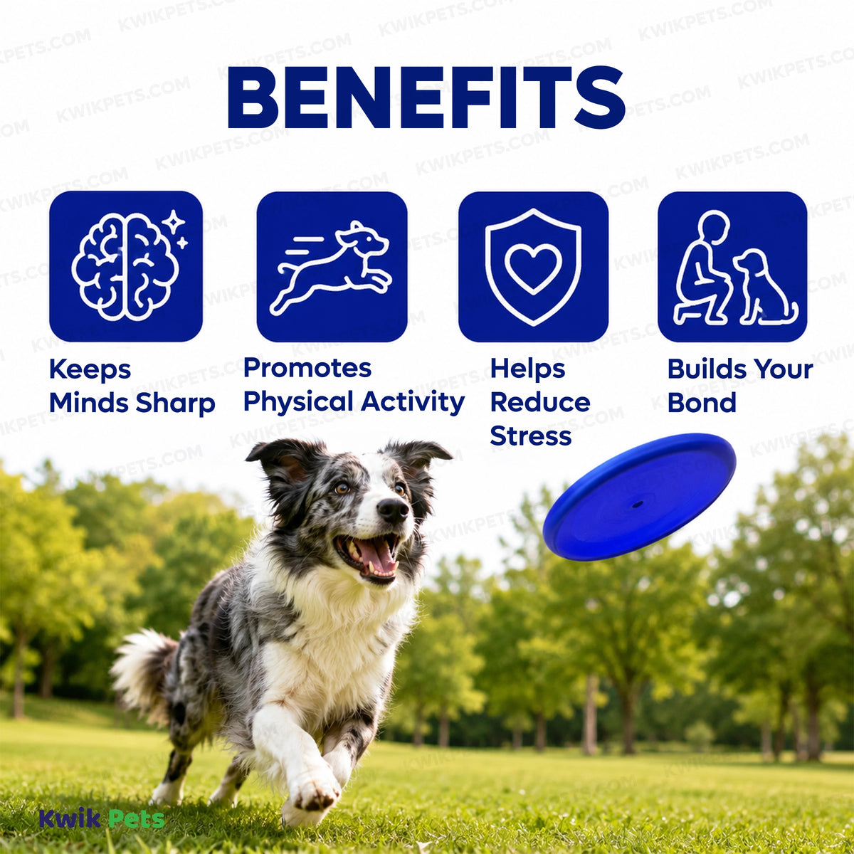 Benefits of Petsport USA Tuff Disk Dog Toy Assorted 9-in