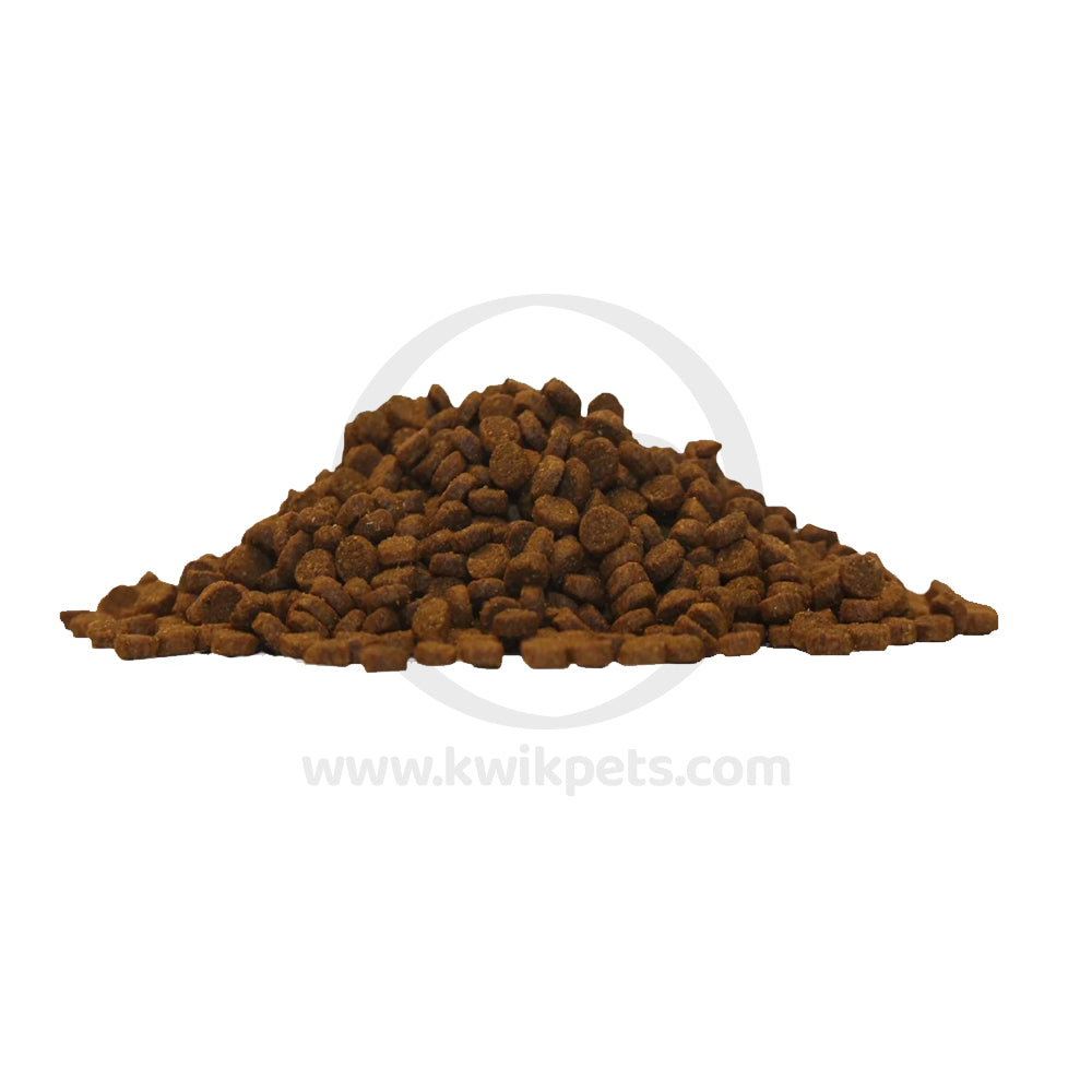 Food of Lucy Pet Products Formulas for Life Dry Cat Food Chicken Brown Rice & Pumpkin 4-lb