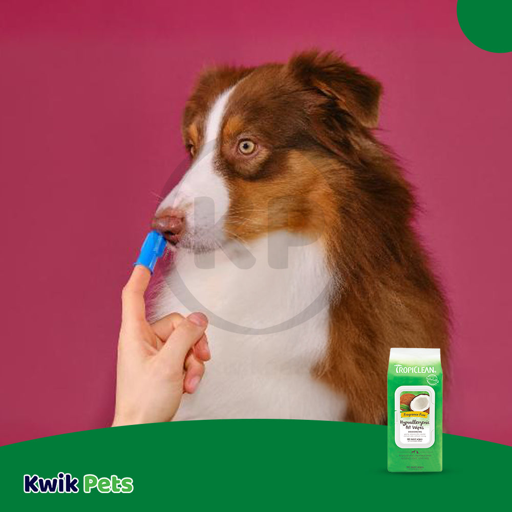 LifeStyle of TropiClean Fresh Breath Finger Brushes for Dogs 2 Count
