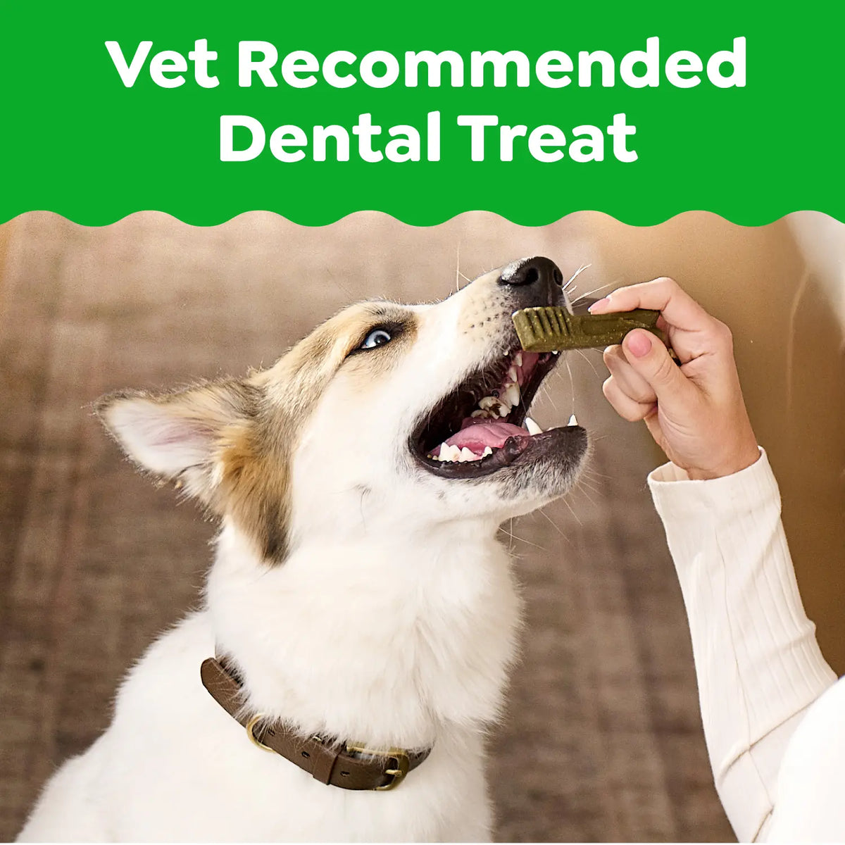 LifeStyle of Greenies Original Dog Dental Treats Regular 36-oz 36 Count