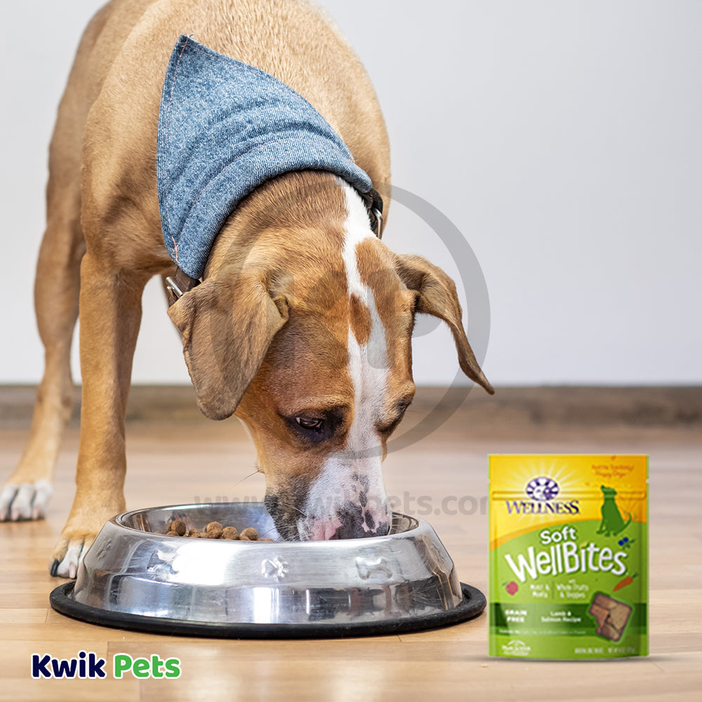LifeStyle of Wellness Soft WellBites Grain-Free Natural Dog Treats Lamb & Salmon 6-oz
