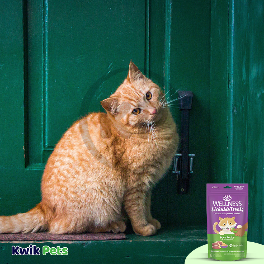 LifeStyle of Wellness Puree Natural Grain-Free Lickable Cat Treats Duck 6 Count 2.53-oz