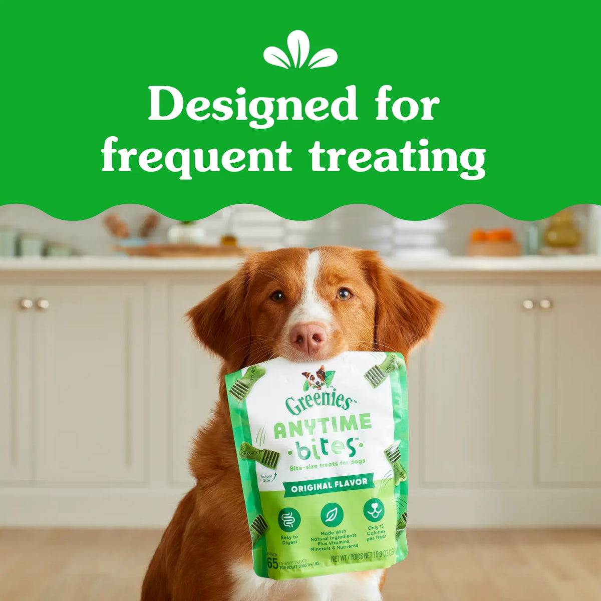 LifeStyle of Greenies Anytime Bites Bite-Size Dog Dental Treats Original 10.3-oz