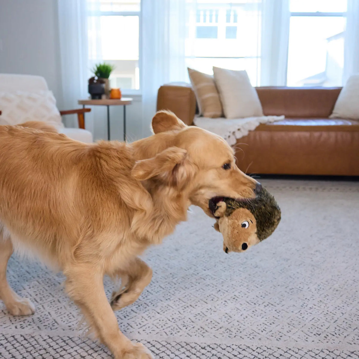 LifeStyle of Outward Hound Hedgehog Dog Toy Large