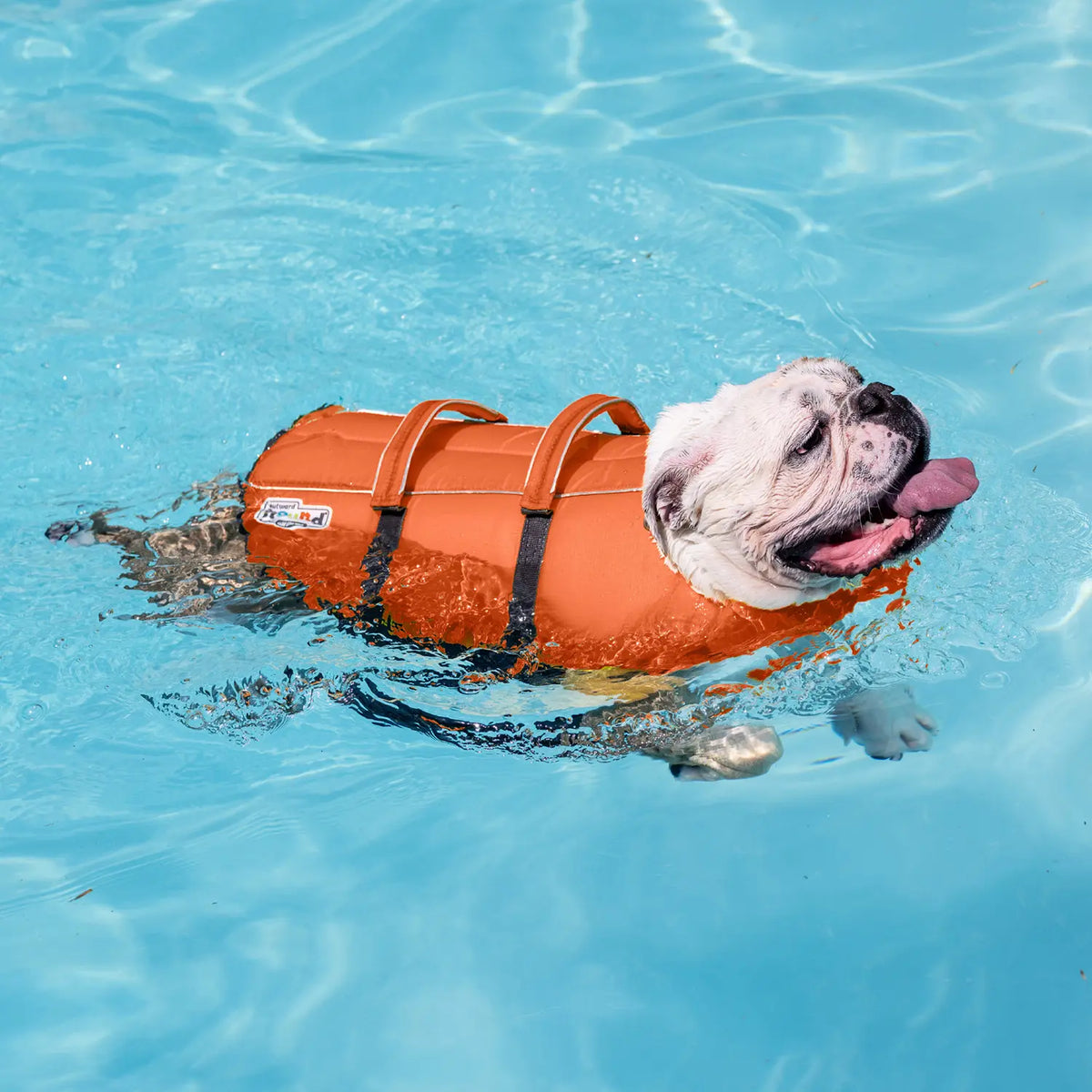 LifeStyle of Outward Hound Granby Ripstop Dog Life Jacket Orange Small