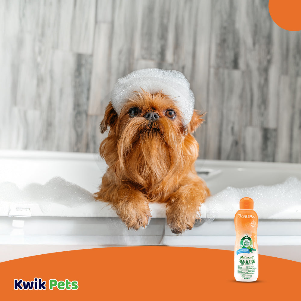 LifeStyle of TropiClean Natural Flea & Tick Soothing Shampoo for Dogs 20-oz