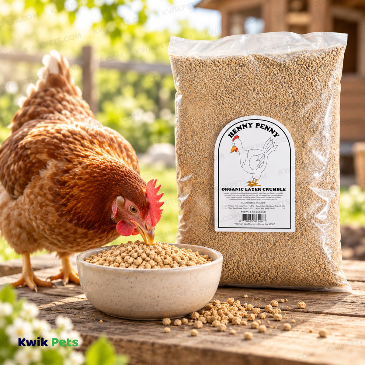 Lifestyle of Volkman Seed Company Layer Pellet Blend Chicken Treat 8-lb