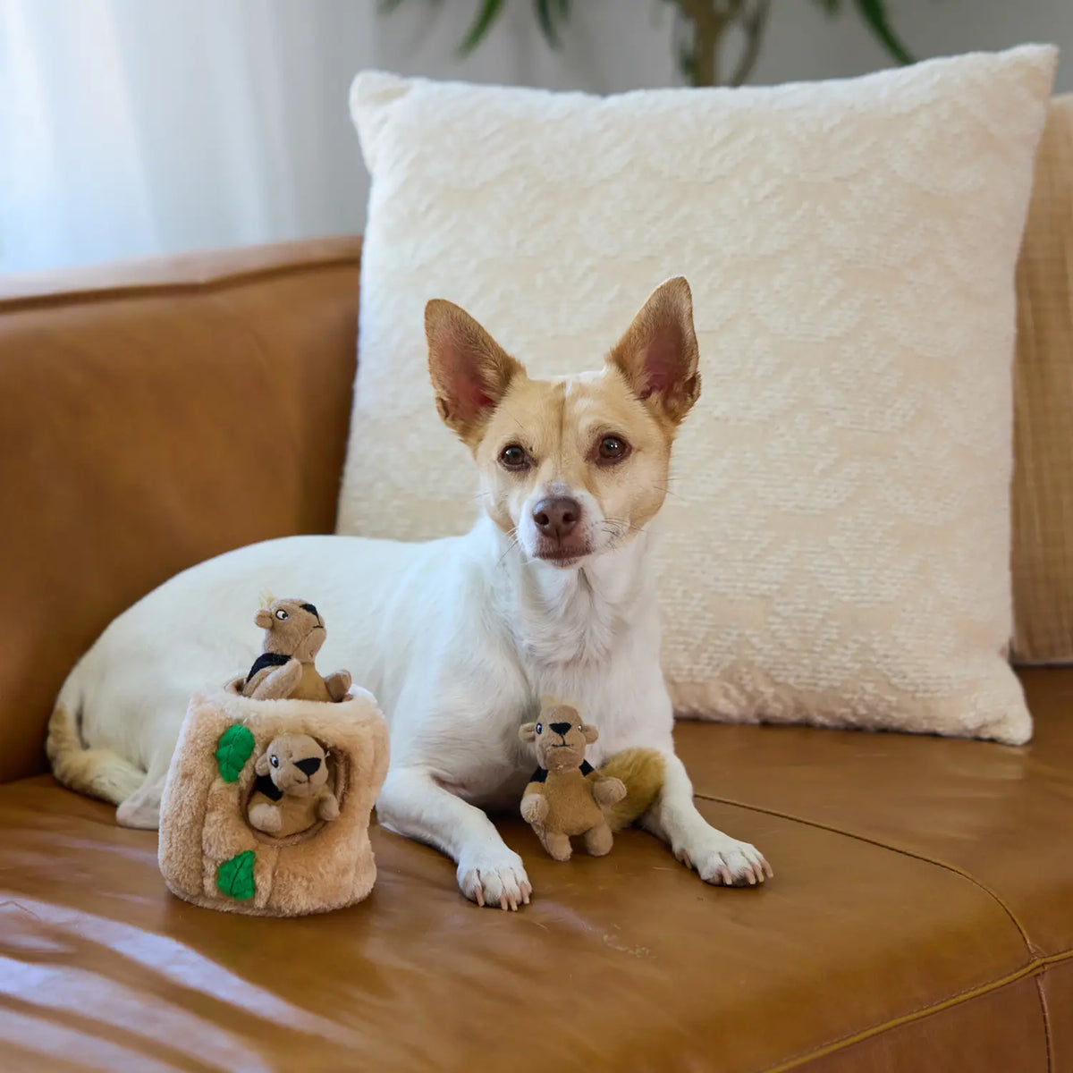 LifeStyle of Outward Hound Squeekin' Animals Dog Toy Squirrel 3 Count
