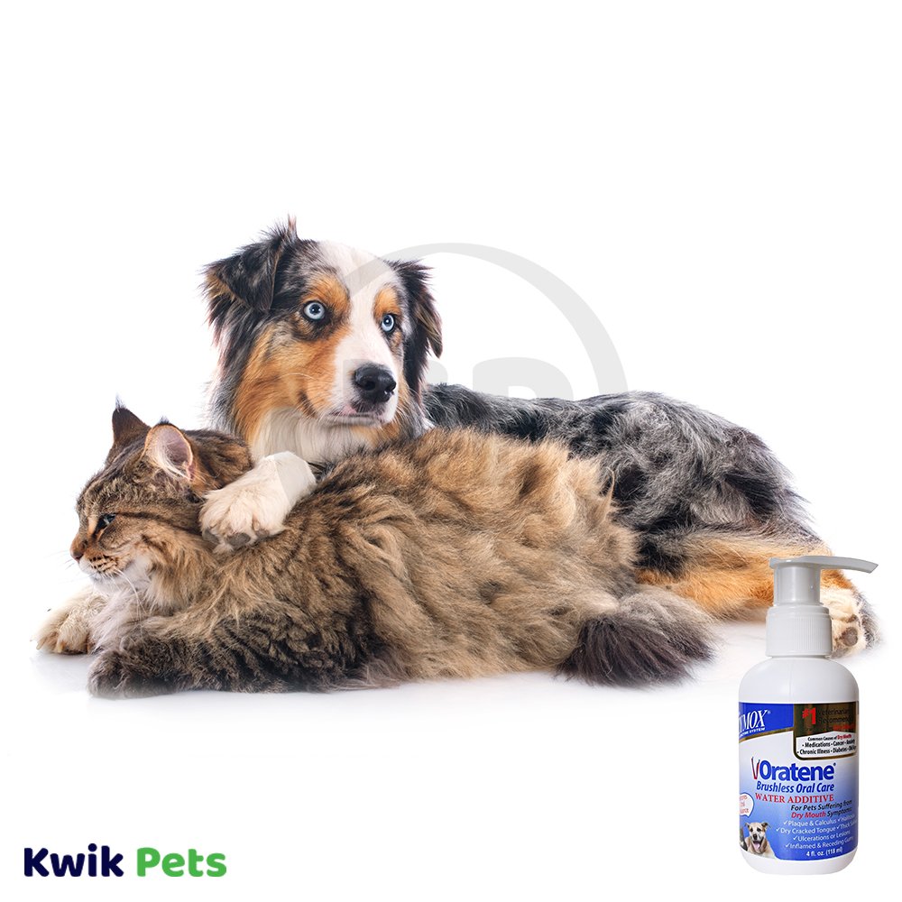 Cat and Dog Image of Zymox Oratene Brushless Enzymatic Oral Care Therapy Water Additive Bottle for Dogs 4-oz