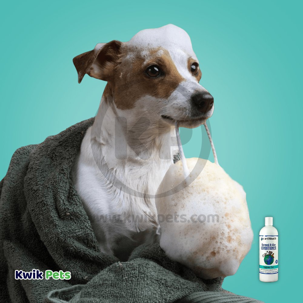 Cute Dog with Earthbath Oatmeal & Aloe Pet Conditioner Fragrance Free 16-oz