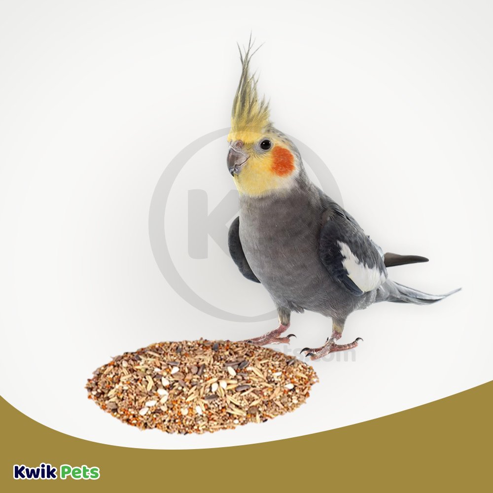 Volkman Seed Company Avian Naturals with Sunflower Small Hookbill Bird Food 4-lb, Volkman